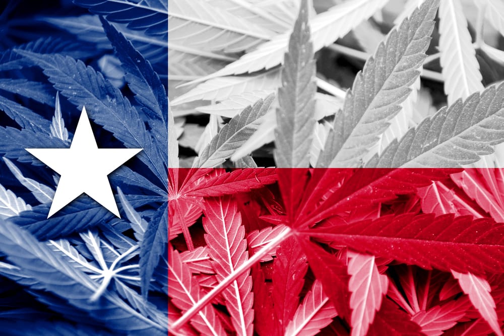 marijuana as one of the commonly used drugs in san antonio