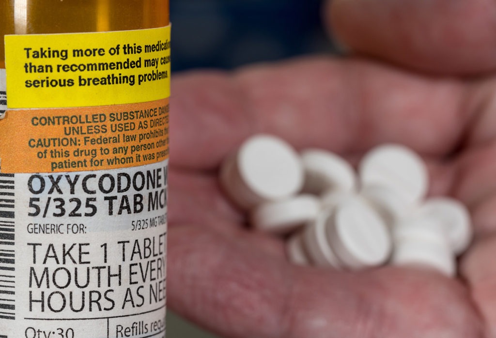 a bottle of oxycodone showing the difference between a opiate and opioid