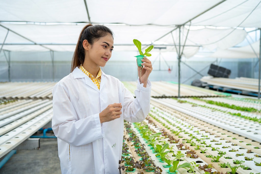 a woman does research on marijuana and education about it for the public