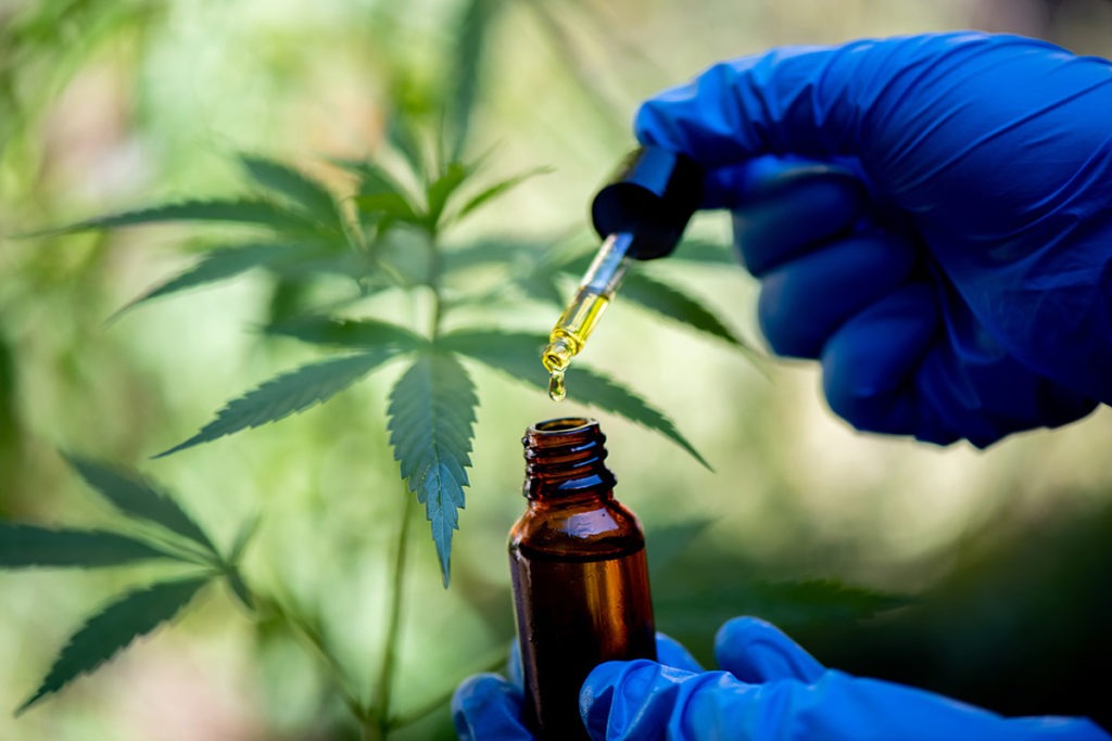 a doctor uses a vial of gold liquid and wonders what is THC