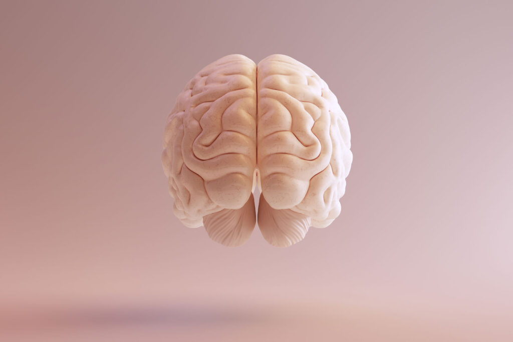 Brain thinking, "How does fentanyl affect the body and brain?"